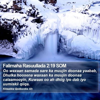 Falimaha Rasuullada 2:19 SOM Bible Verse Image