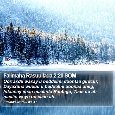 Falimaha Rasuullada 2:20 SOM Bible Verse Image