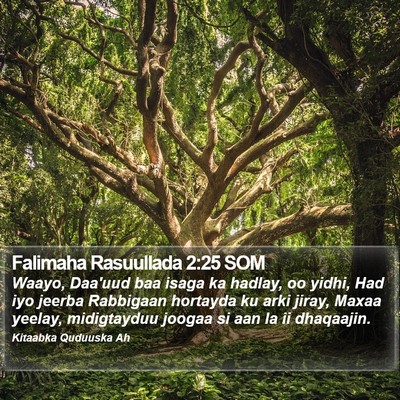 Falimaha Rasuullada 2:25 SOM Bible Verse Image
