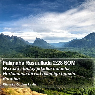 Falimaha Rasuullada 2:28 SOM Bible Verse Image