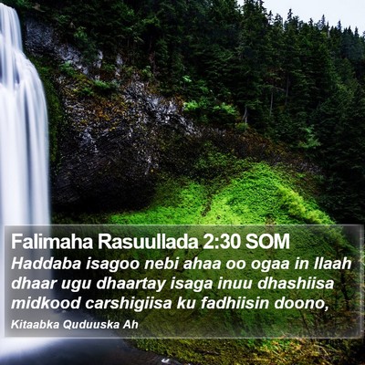 Falimaha Rasuullada 2:30 SOM Bible Verse Image