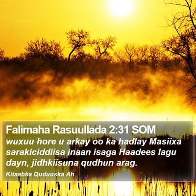 Falimaha Rasuullada 2:31 SOM Bible Verse Image