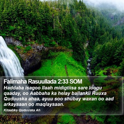 Falimaha Rasuullada 2:33 SOM Bible Verse Image