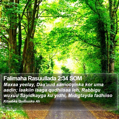 Falimaha Rasuullada 2:34 SOM Bible Verse Image