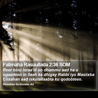 Falimaha Rasuullada 2:36 SOM Bible Verse Image