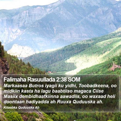 Falimaha Rasuullada 2:38 SOM Bible Verse Image