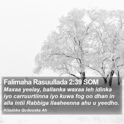 Falimaha Rasuullada 2:39 SOM Bible Verse Image