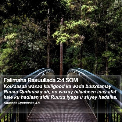 Falimaha Rasuullada 2:4 SOM Bible Verse Image