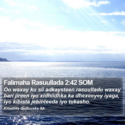 Falimaha Rasuullada 2:42 SOM Bible Verse Image