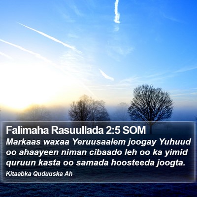 Falimaha Rasuullada 2:5 SOM Bible Verse Image