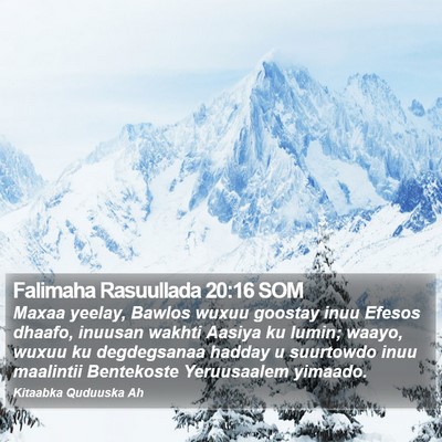 Falimaha Rasuullada 20:16 SOM Bible Verse Image