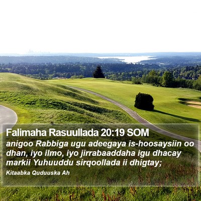 Falimaha Rasuullada 20:19 SOM Bible Verse Image
