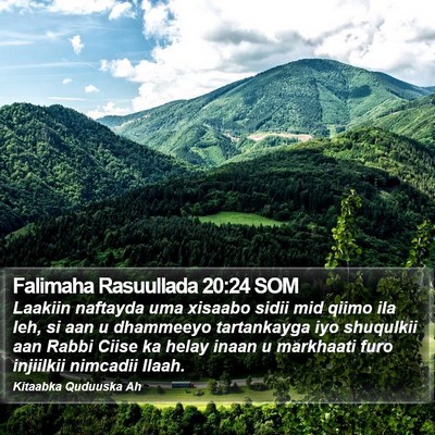 Falimaha Rasuullada 20:24 SOM Bible Verse Image