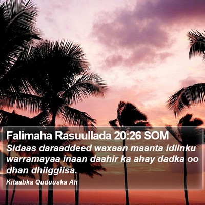 Falimaha Rasuullada 20:26 SOM Bible Verse Image