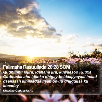 Falimaha Rasuullada 20:28 SOM Bible Verse Image
