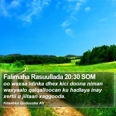 Falimaha Rasuullada 20:30 SOM Bible Verse Image