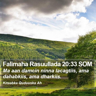 Falimaha Rasuullada 20:33 SOM Bible Verse Image