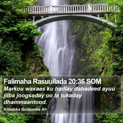 Falimaha Rasuullada 20:36 SOM Bible Verse Image