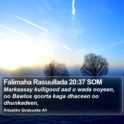 Falimaha Rasuullada 20:37 SOM Bible Verse Image