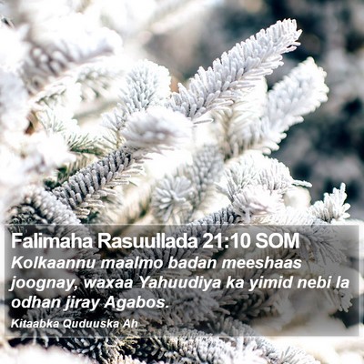 Falimaha Rasuullada 21:10 SOM Bible Verse Image