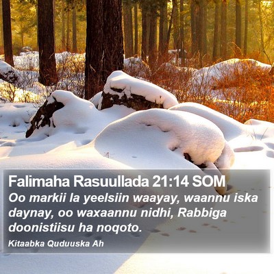 Falimaha Rasuullada 21:14 SOM Bible Verse Image