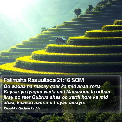 Falimaha Rasuullada 21:16 SOM Bible Verse Image