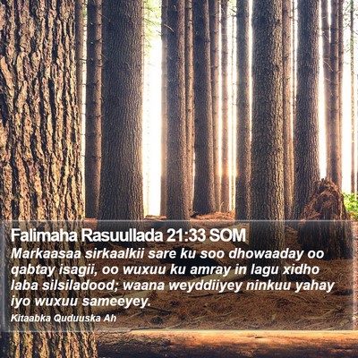 Falimaha Rasuullada 21:33 SOM Bible Verse Image