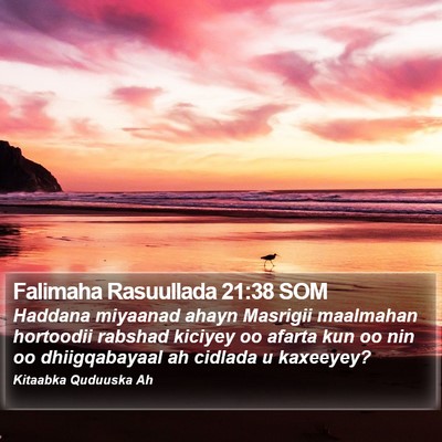 Falimaha Rasuullada 21:38 SOM Bible Verse Image