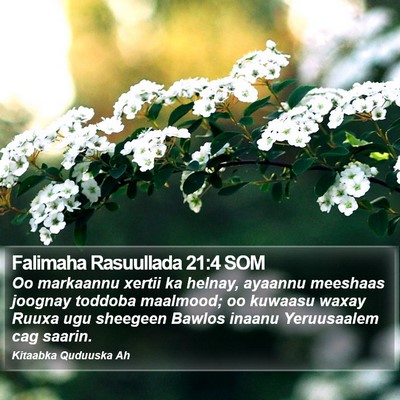 Falimaha Rasuullada 21:4 SOM Bible Verse Image
