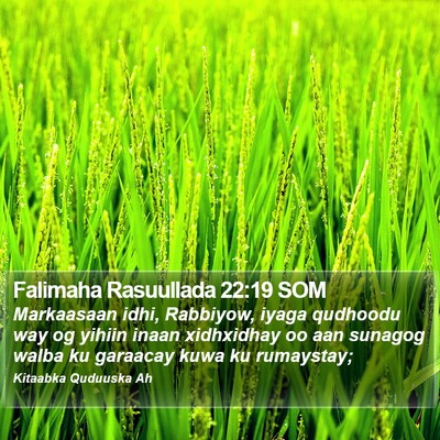 Falimaha Rasuullada 22:19 SOM Bible Verse Image