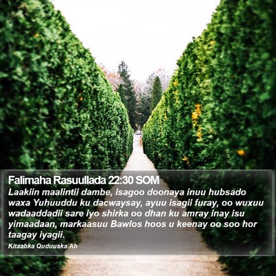 Falimaha Rasuullada 22:30 SOM Bible Verse Image