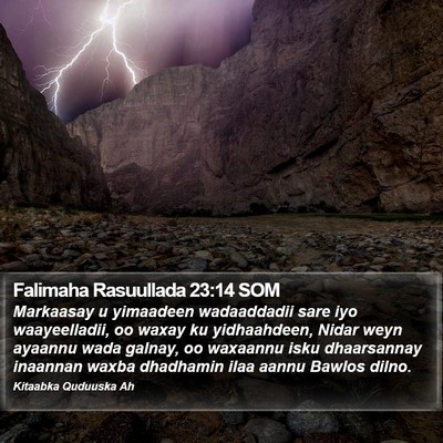 Falimaha Rasuullada 23:14 SOM Bible Verse Image