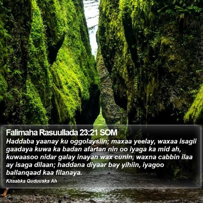 Falimaha Rasuullada 23:21 SOM Bible Verse Image