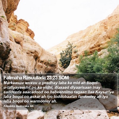 Falimaha Rasuullada 23:23 SOM Bible Verse Image