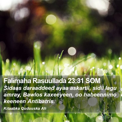 Falimaha Rasuullada 23:31 SOM Bible Verse Image