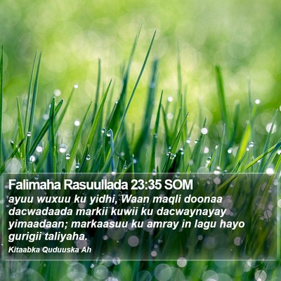 Falimaha Rasuullada 23:35 SOM Bible Verse Image