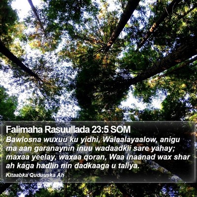 Falimaha Rasuullada 23:5 SOM Bible Verse Image
