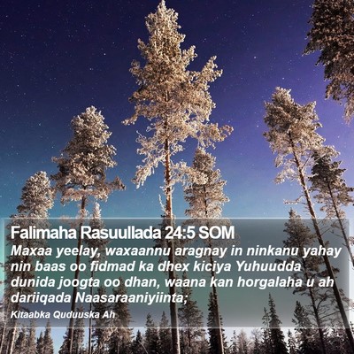 Falimaha Rasuullada 24:5 SOM Bible Verse Image