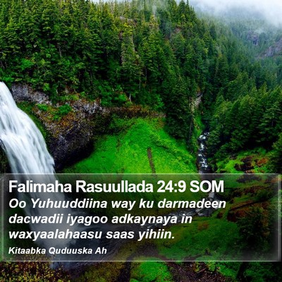 Falimaha Rasuullada 24:9 SOM Bible Verse Image