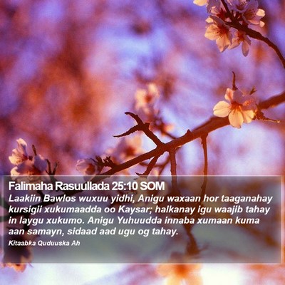 Falimaha Rasuullada 25:10 SOM Bible Verse Image