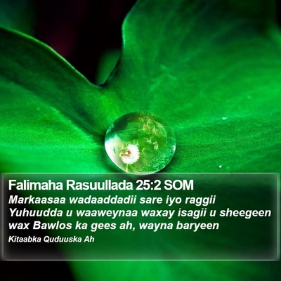 Falimaha Rasuullada 25:2 SOM Bible Verse Image