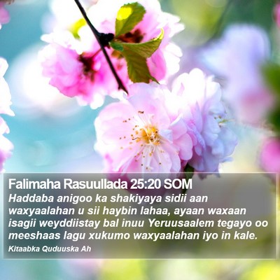 Falimaha Rasuullada 25:20 SOM Bible Verse Image