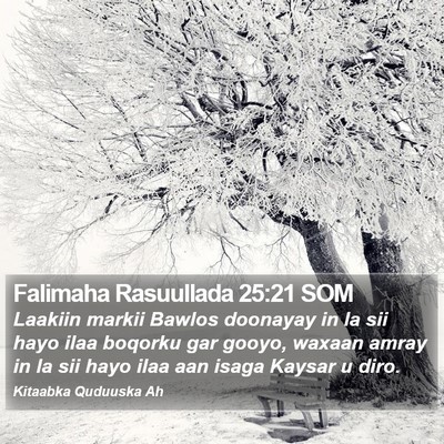 Falimaha Rasuullada 25:21 SOM Bible Verse Image