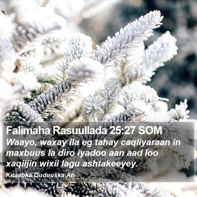Falimaha Rasuullada 25:27 SOM Bible Verse Image