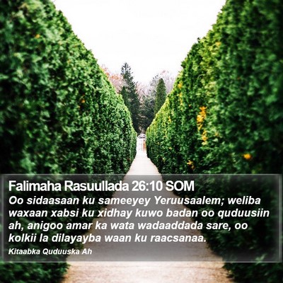 Falimaha Rasuullada 26:10 SOM Bible Verse Image