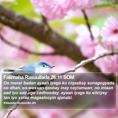Falimaha Rasuullada 26:11 SOM Bible Verse Image