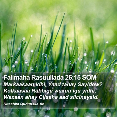 Falimaha Rasuullada 26:15 SOM Bible Verse Image