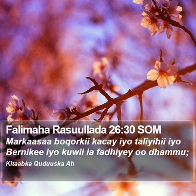 Falimaha Rasuullada 26:30 SOM Bible Verse Image