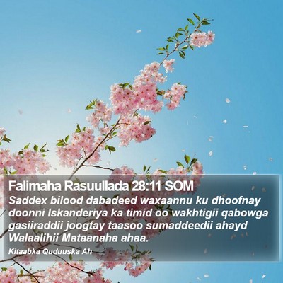 Falimaha Rasuullada 28:11 SOM Bible Verse Image