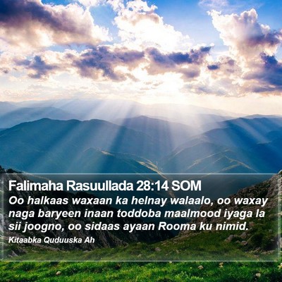 Falimaha Rasuullada 28:14 SOM Bible Verse Image